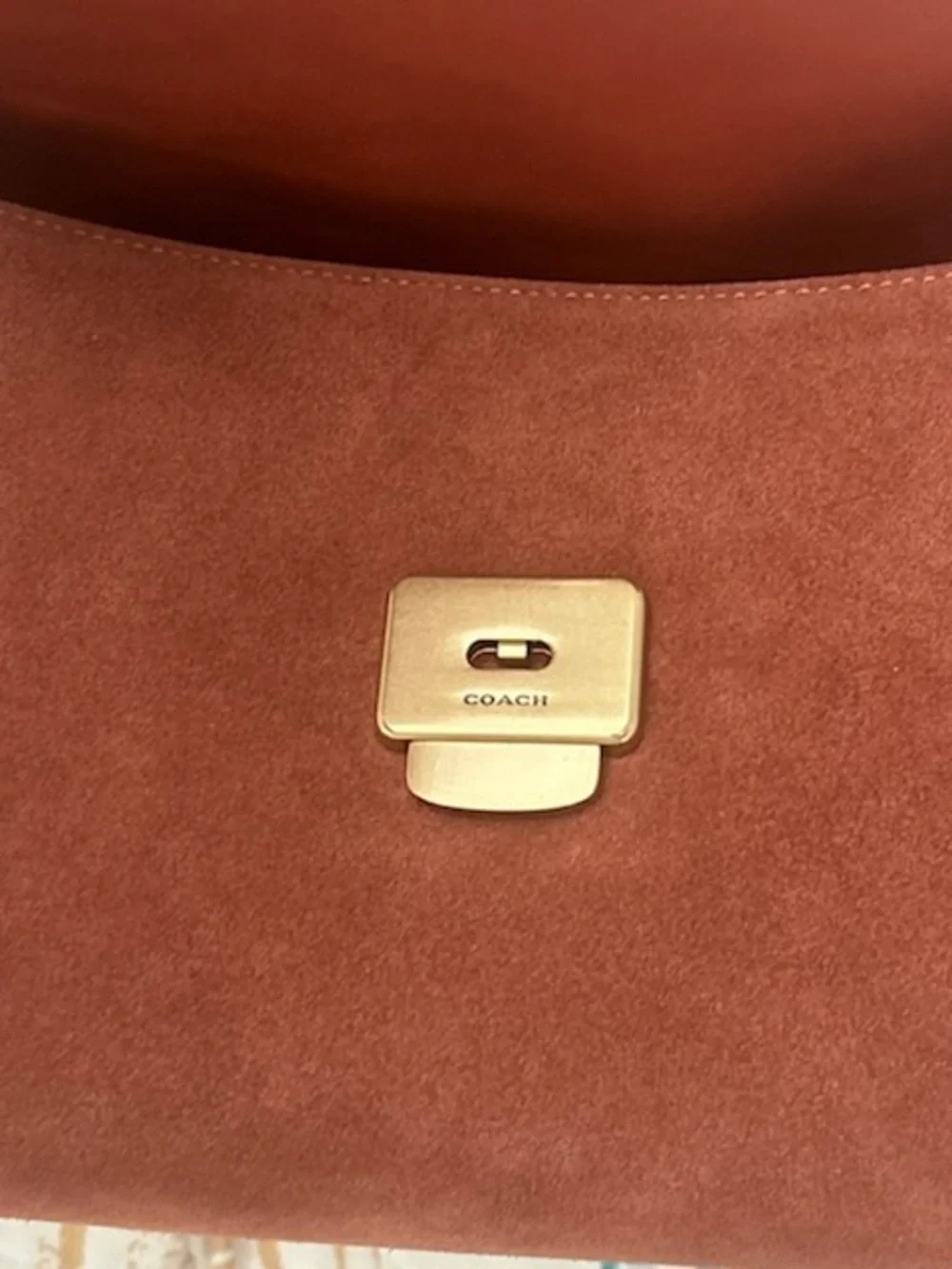 Coach Men’s Suede Messenger Bag in Chestnut